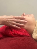 Professional Facial Machines Course